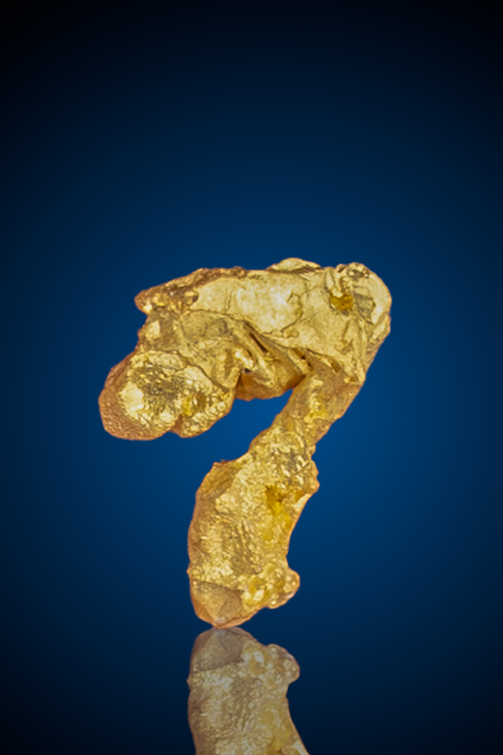 (image for) Unique Hook Shaped Gold Nugget - Winnemucca, NV - 0.36 grams